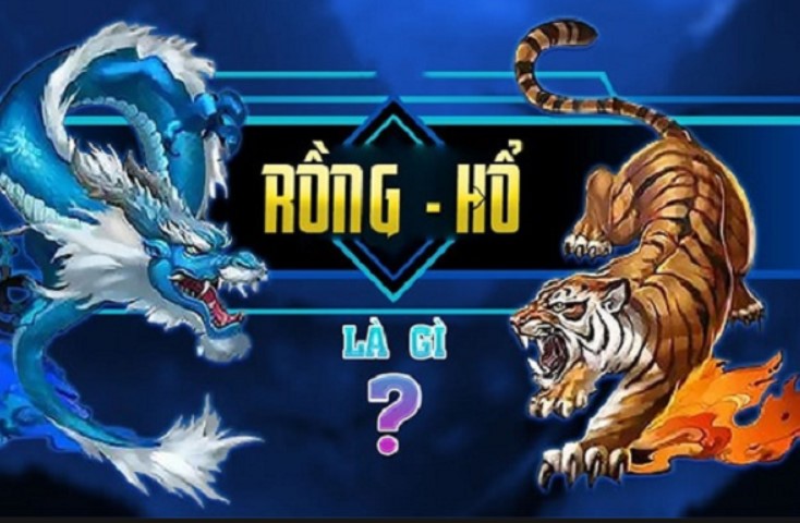 Rồng hổ là gì?